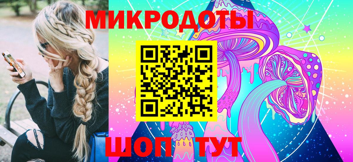 Галлюциногенные грибы Psilocybine cubensis Мценск