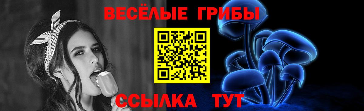 Мценск  Галлюциногенные грибы ЛСД  Псилоцибиновые грибы GOLDEN TEACHER  Вход с VPN 
